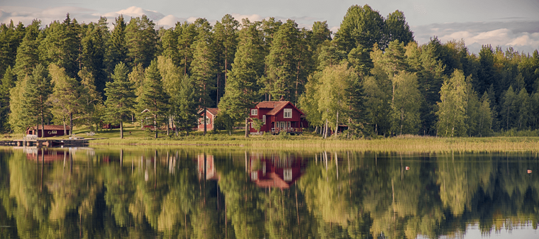 غابات السويد