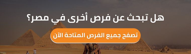 وظائف في مصر