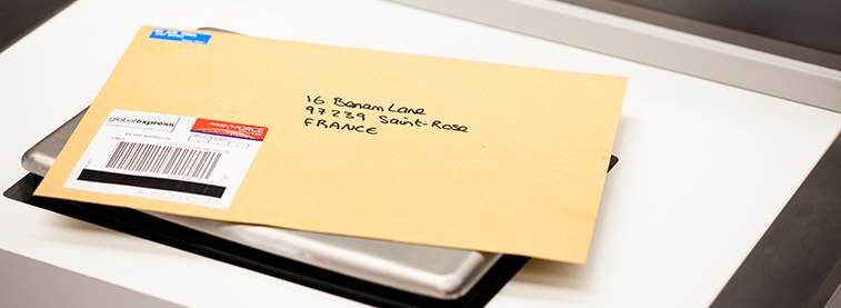 ارسال الطلب