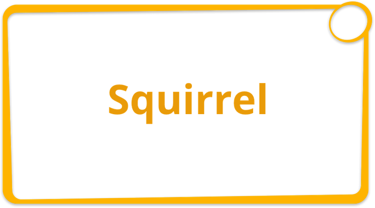 Squirrel