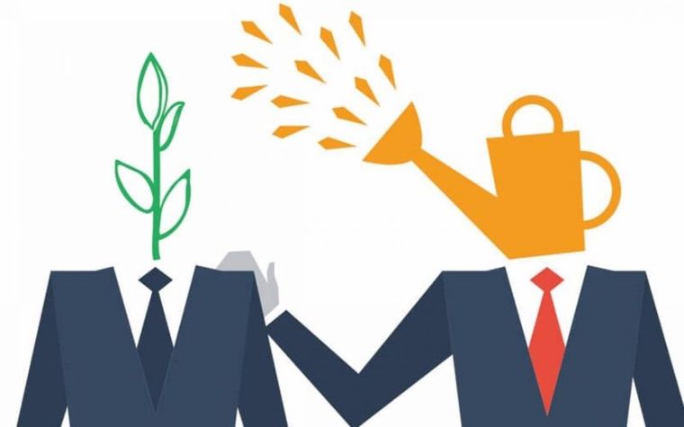 مهارات التوجيه