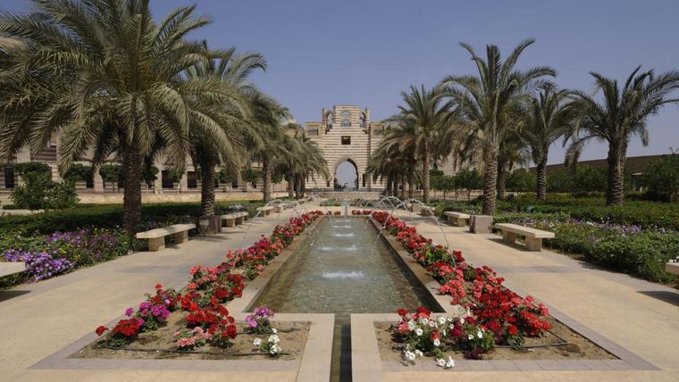 الجامعة الأمريكية في القاهرة