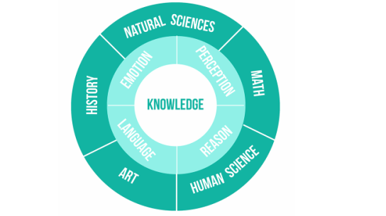 فروع المعرفة