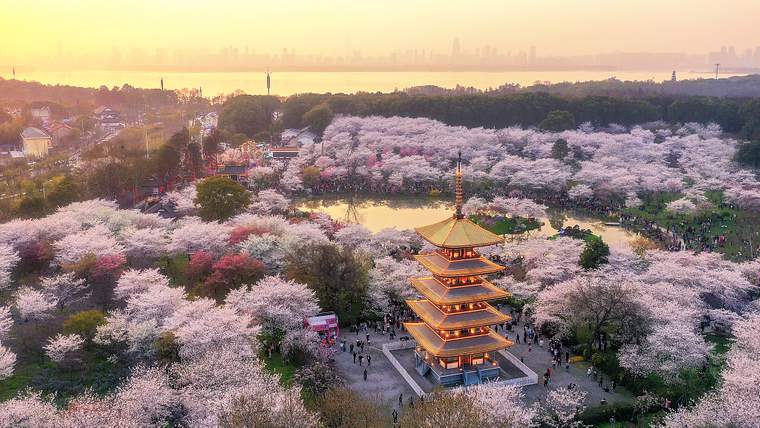 مقاطعة هوبي