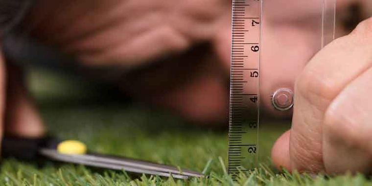 الشخصية المثالية