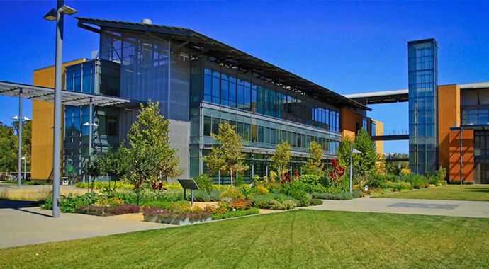 University of California, Davis