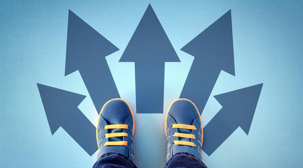 خيارات الدراسة