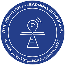 الجامعة المصرية للتعليم الإلكتروني