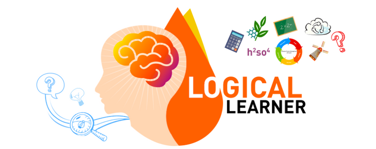 نمط التعلم المنطقي