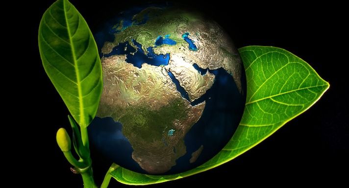 علوم البيئة