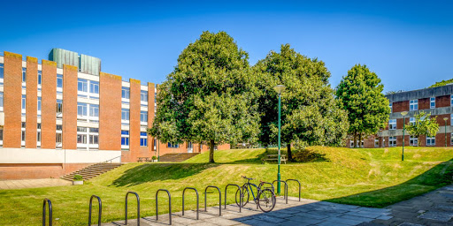 University of Sussex