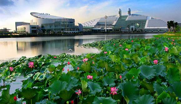 جامعة تشجيانغ