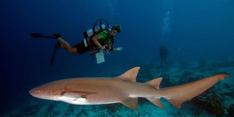 تحدي علوم بلا حدود العالمي