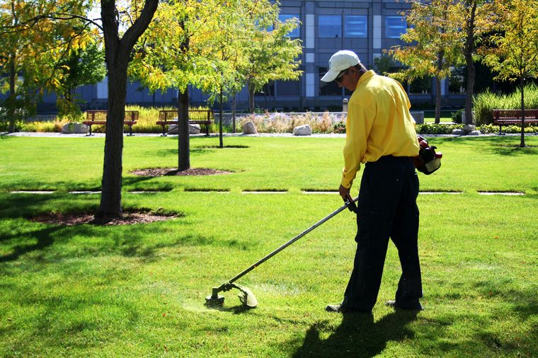 عامل صيانة الأراضي