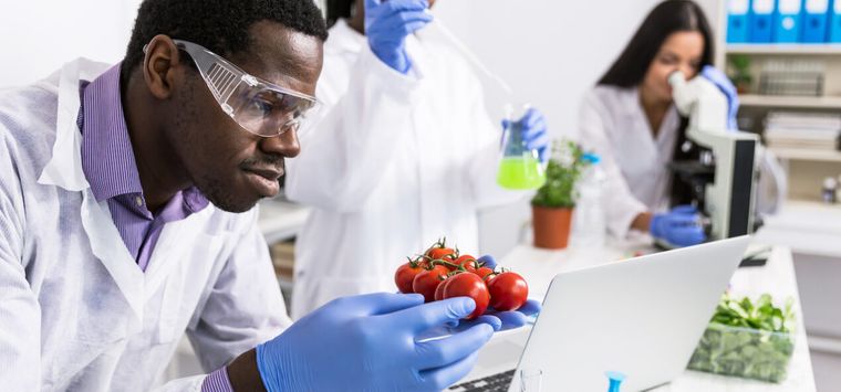 علم الأغذية