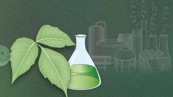 جائزة IUPAC في مجال الكيمياء الخضراء