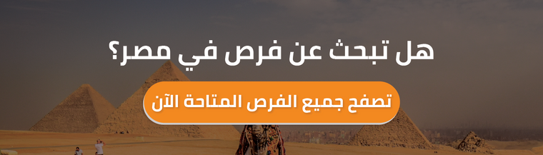 فرص في مصر