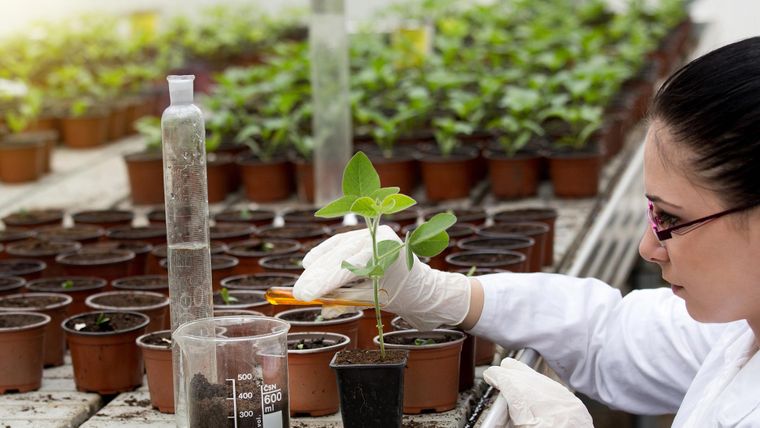 العلوم الصحية البيئية