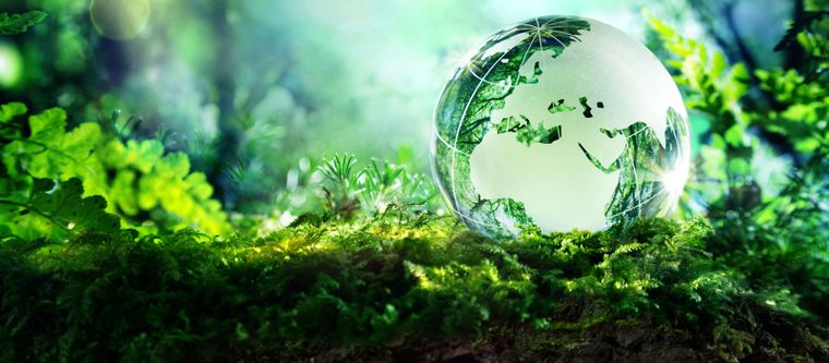 حماية البيئة