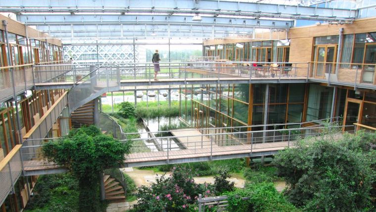 جامعة فاخينينغن