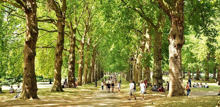 الحدائق في المملكة المتحدة