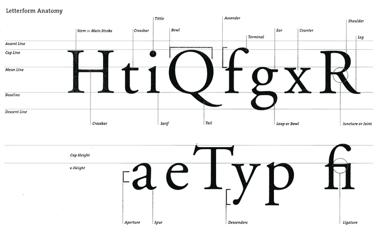 نوع الخط في التصميم