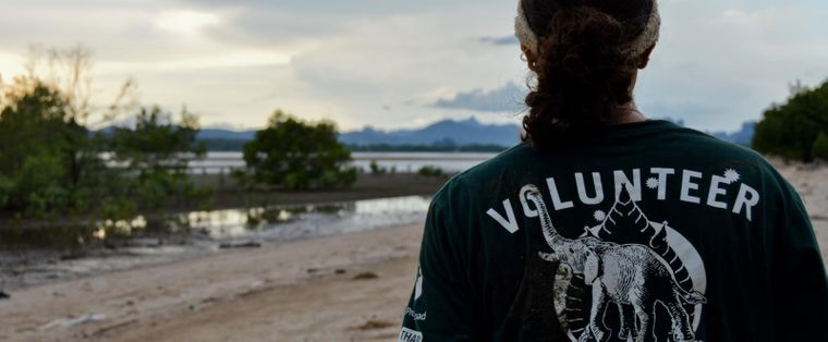 التطوع في الخارج